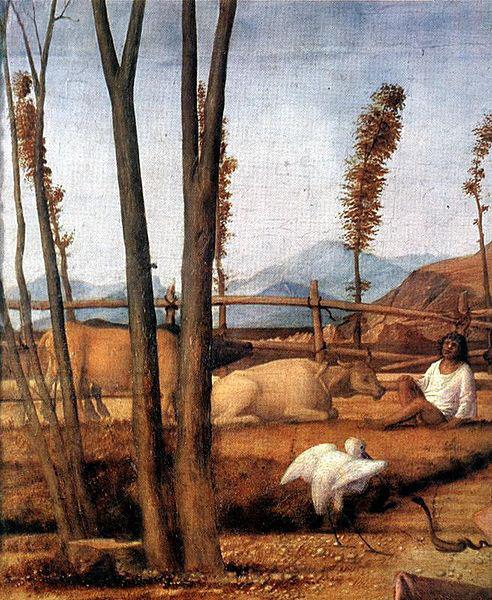 Giovanni Bellini Madonna of the Meadow Spain oil painting art